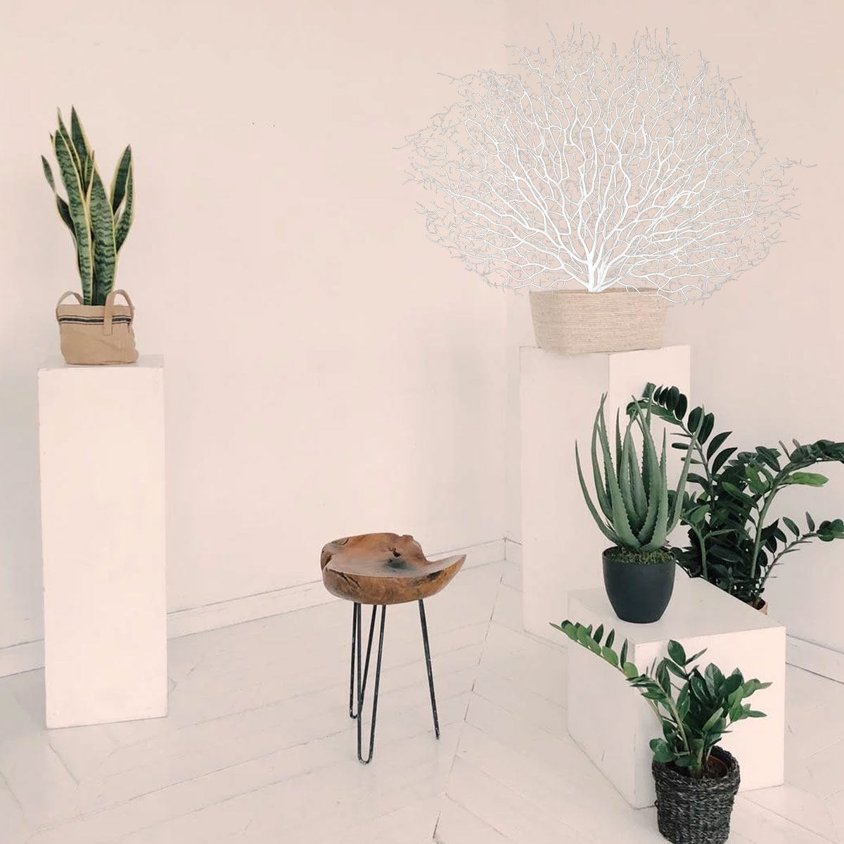 Home Office Interior Design - 1 pieza de rama de coral
