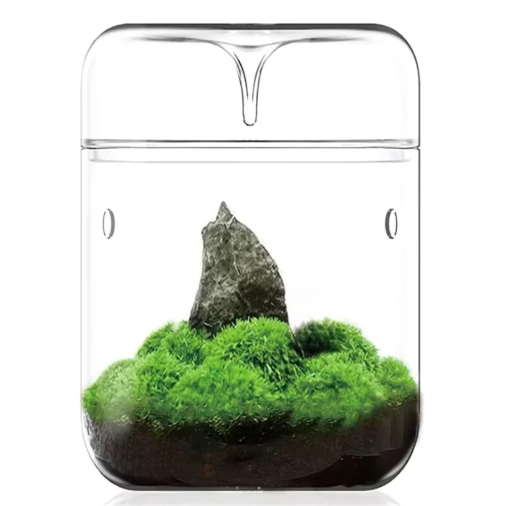 Terrario Ecológico de Vidrio p - Home Office With View reseña y precio