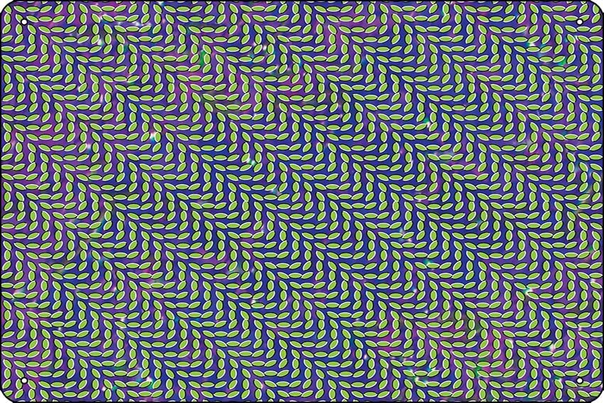 Animal Collective - Merriweath - Home Office X Post reseña y precio